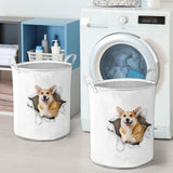 Pembroke Welsh Corgi1 - Tornpaper - LB