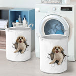 Cavachon - Tornpaper - LB