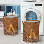 Irish Setter2 - Rattan - LB