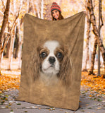 Cavalier King Charles Face Hair Blanket