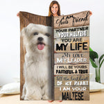 Maltese-Your Partner Blanket