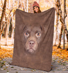 Patterdale Terrier Face Hair Blanket