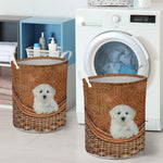 Maltipoo - Rattan - LB