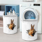 German Shepherd1 - Tornpaper - LB