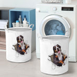 Greater Swiss Mountain dog - Tornpaper - LB