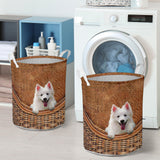 American Eskimo - Rattan - LB