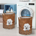 White Poodle - Rattan - LB