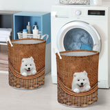 Samoyed - Rattan - LB