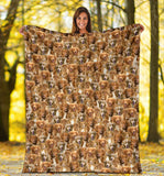 Nova Scotia Duck Tolling Retriever Full Face Blanket