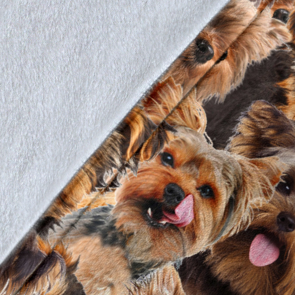 Yorkshire Terrier - Blanket - 1366