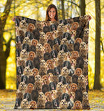 English Cocker Spaniel 2 Full Face Blanket