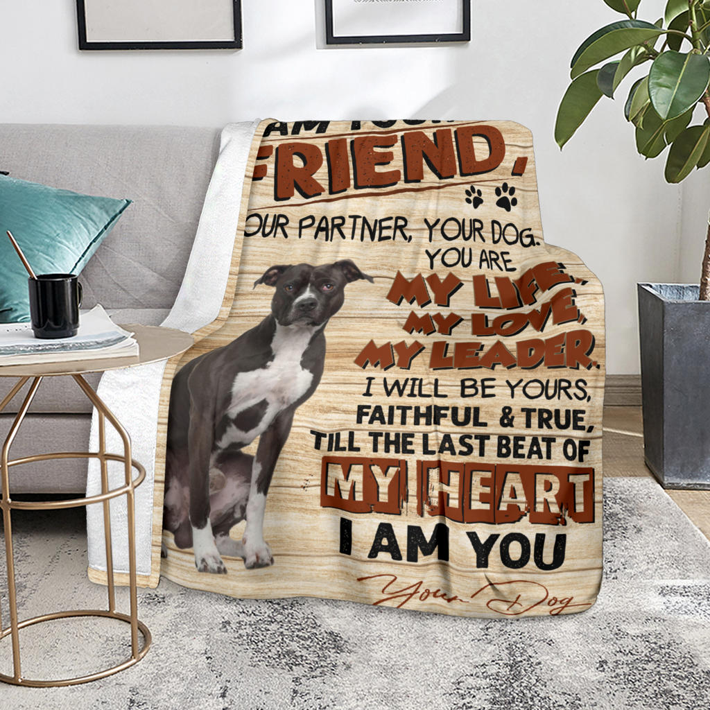 American Pit Bull Terrier-My Love Blanket