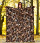 German Spaniel Full Face Blanket