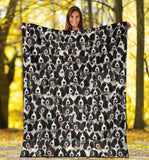 Landseer 2 Full Face Blanket