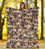 Chihuahua Full Face Blanket