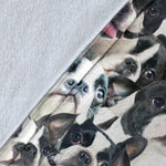 Boston Terrier - Blanket - 1320