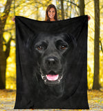 Black Lab Face Hair Blanket