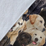 Labrador - Blanket - 1396