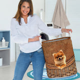 Pomeranian - Rattan - LB