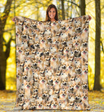 Welsh Corgi Full Face Blanket