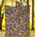 Wirehaired Pointing Griffon Full Face Blanket