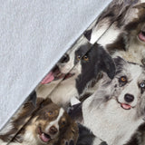 Border Collie - Blanket - 1358