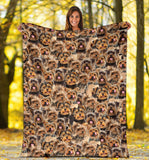 Yorkshire Terrier Full Face Blanket