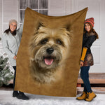 Cairn Terrier 2 Face Hair Blanket