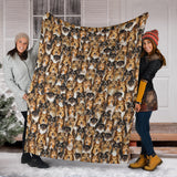 Shetland Sheepdog Full Face Blanket