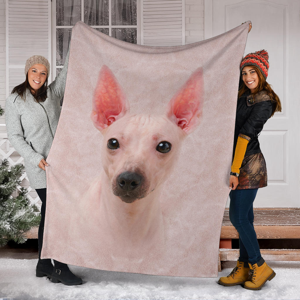 American Hairless Terrier Face Hair Blanket