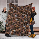 German Spaniel Full Face Blanket