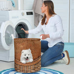 Samoyed - Rattan - LB