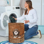 Lhasa Apso - Rattan - LB