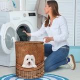 Coton De Tulear - Rattan - LB