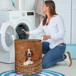 Welsh Springer Spaniel - Rattan - LB