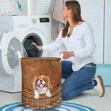 Cavalier King Charles Spaniel2 - Rattan - LB