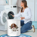 Welsh Springer Spaniel - Tornpaper - LB