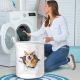 Pembroke Welsh Corgi1 - Tornpaper - LB