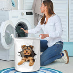 Yorkshire Terrier1 - Tornpaper - LB