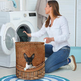 Rat Terrier - Rattan - LB