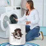 Havanese - Chocolate - Tornpaper - LB