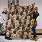 Labradoodle Full Face Blanket