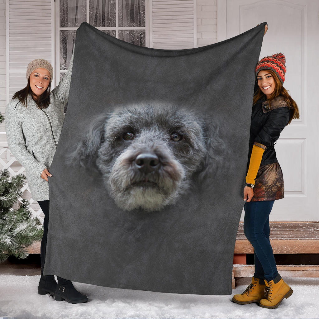 Schnoodle Face Hair Blanket