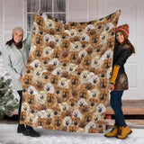 Chow Chow Full Face Blanket