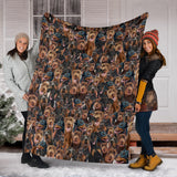 Doberman Pinscher Full Face Blanket