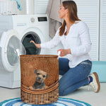 Border Terrier - Rattan - LB