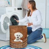 Bichon Frise - Rattan - LB