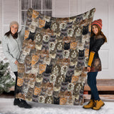 Cat Full Face Blanket