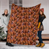 Redbone Coonhound Full Face Blanket