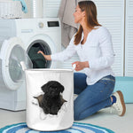 Black Toy Poodle - Tornpaper - LB